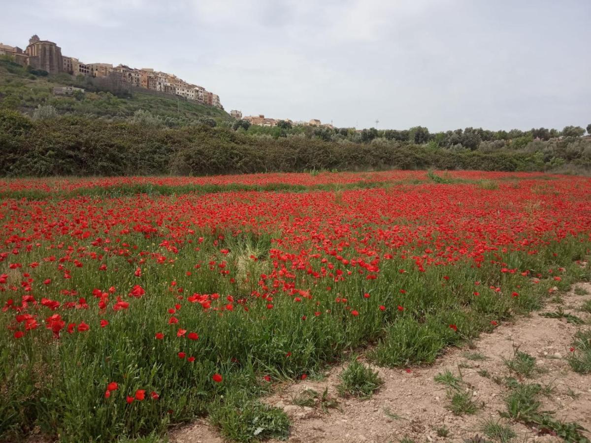 Appartamento Els Ports D'Horta Horta de Sant Joan Esterno foto
