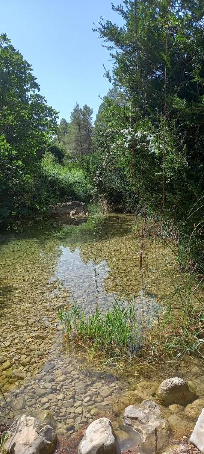 Appartamento Els Ports D'Horta Horta de Sant Joan Esterno foto